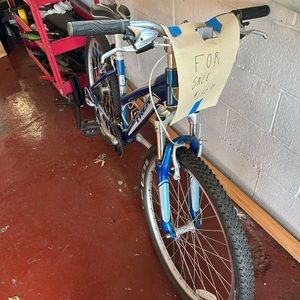 Blue trek mountain bike